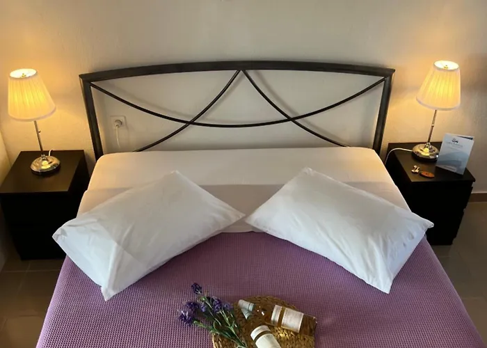 Liani Ammos 公寓 阿莫利亚尼岛